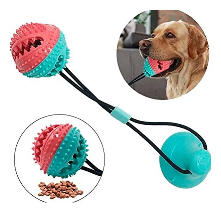 Pelota Interactiva Diversión, Limpieza y Ejercicio para el Consentido de la Casa