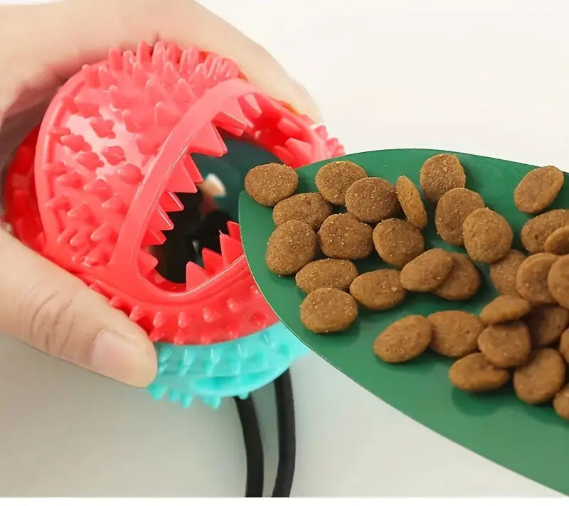 Pelota Interactiva    Diversión, Limpieza y Ejercicio para  el Consentido de la Casa