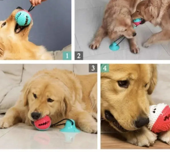 Pelota Interactiva    Diversión, Limpieza y Ejercicio para  el Consentido de la Casa