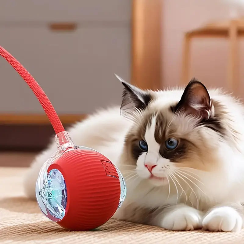 🐾 Pelota Interactiva Recargable USB para Gatos y Perros.